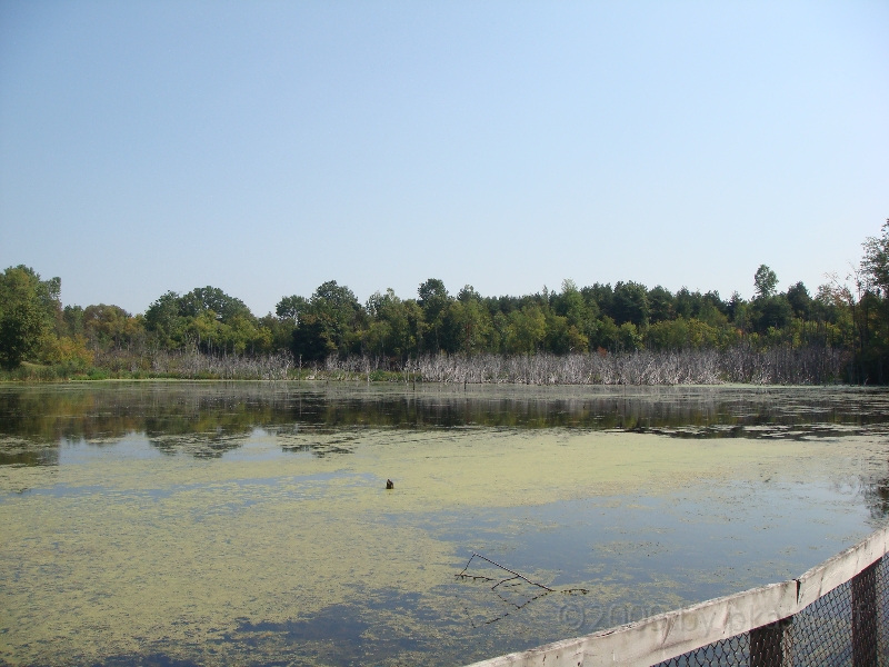 Western Michigan [2009] 369.JPG - Scenes from Frederik Meijer Gardens & Sculpture Park.